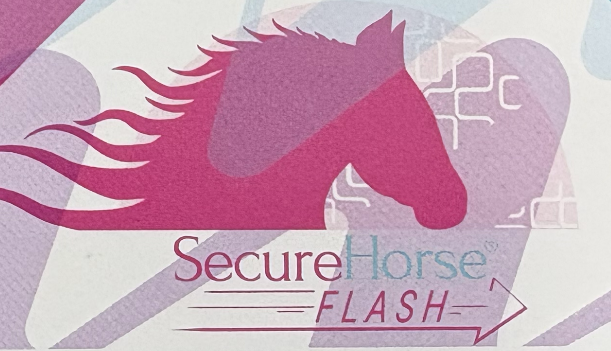 SecureHorse Flash (10u.)
