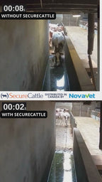 SecureCattle® - 1 litre